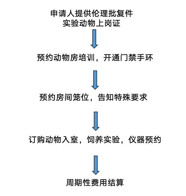 服务流程